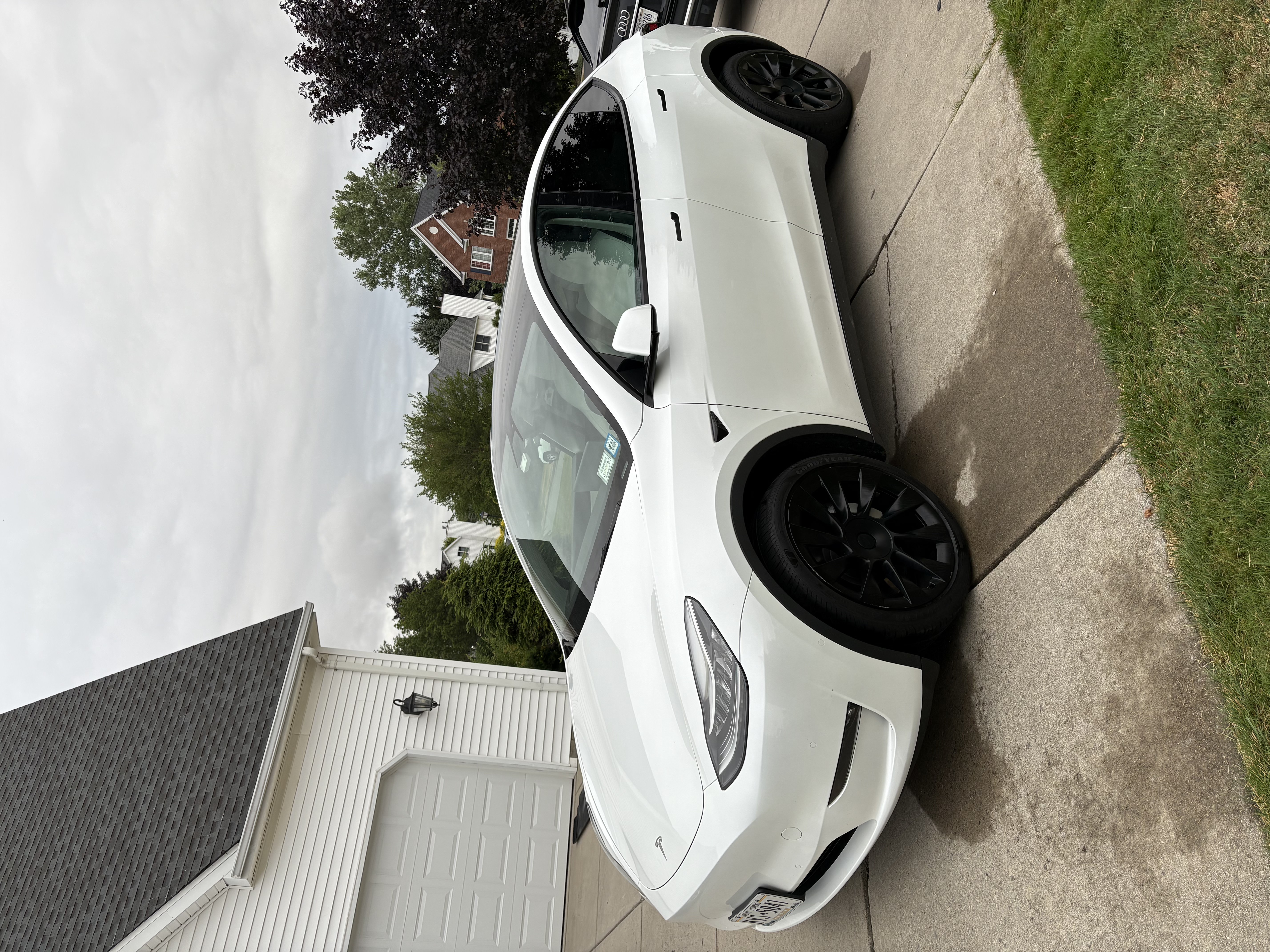 Standard Detail - Tesla Y Model